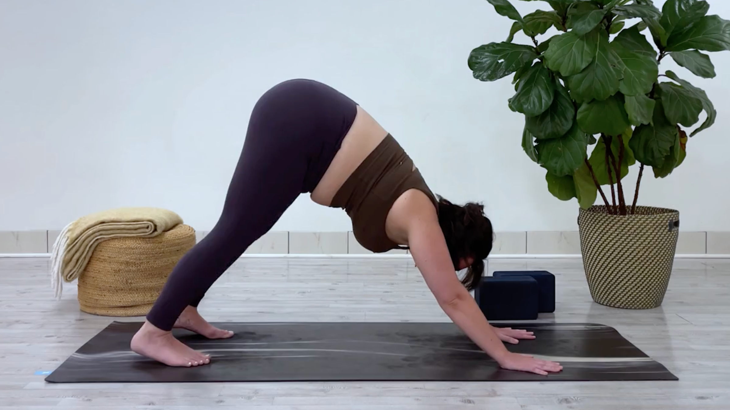 Teacher Taylor Lorenz in Downward-Facing Dog